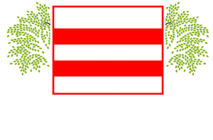 DC Guaranteed Income Coalition logo.